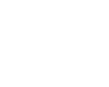 Engineering Shield